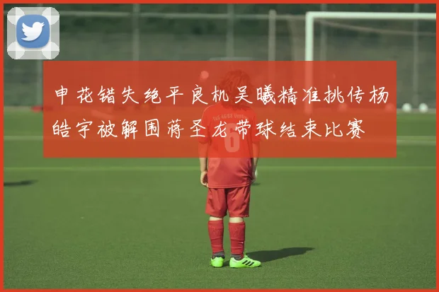 申花错失绝平良机吴曦精准挑传杨皓宇被解围蒋圣龙带球结束比赛