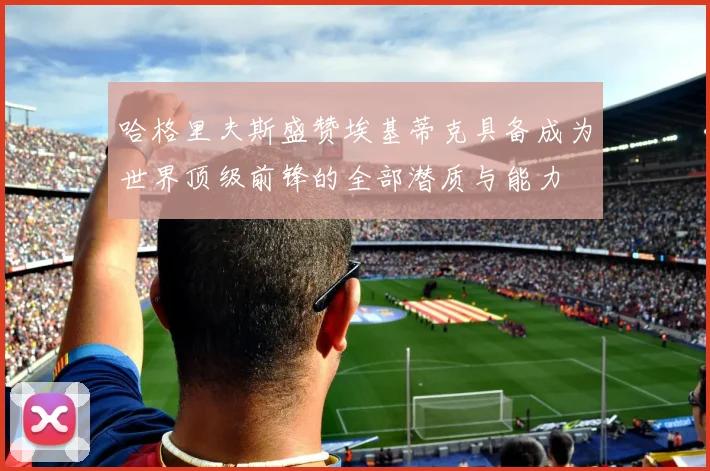 哈格里夫斯盛赞埃基蒂克具备成为世界顶级前锋的全部潜质与能力