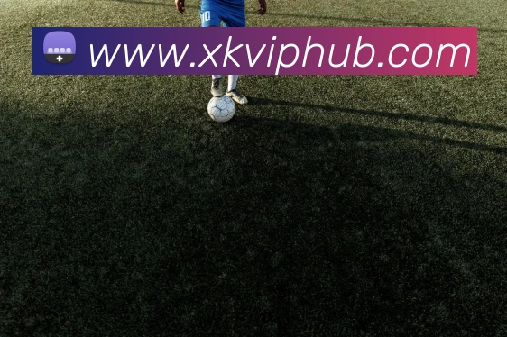 星空体育APP 体育赛事宣传图